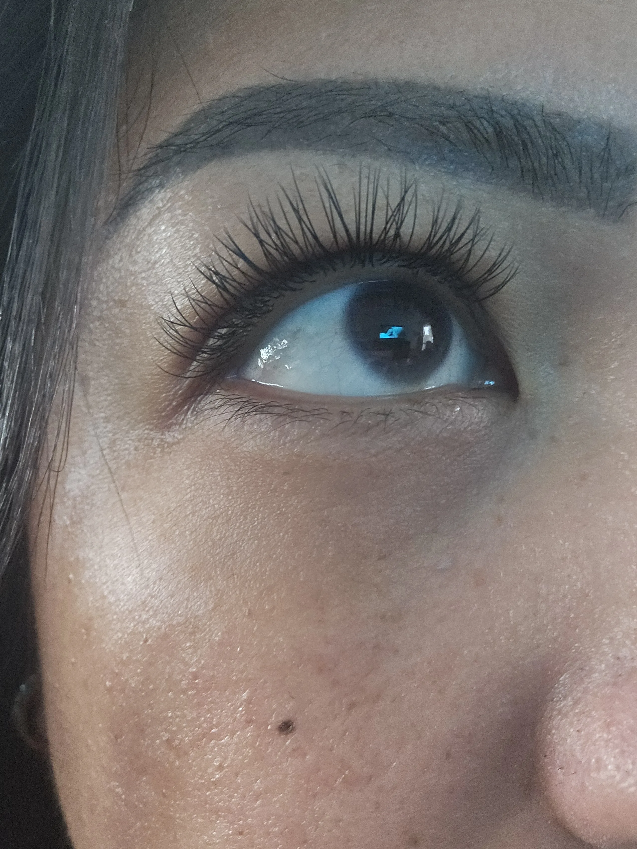 Close-up macro of finished dark lash extensions — each individual extension visible against a strong brow, cool clean light